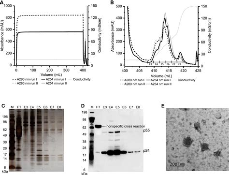 Lentiviral Vector Purification Using Nanofiber Ion Exchange .